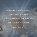성도환경 이미지