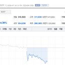 코로지스주