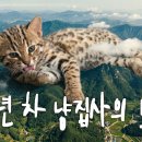 혹시 Daum카페