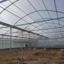 강정동-23 이미지