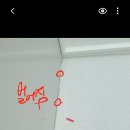 깔끔이줄눈