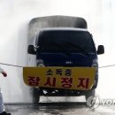 양영석농장 이미지