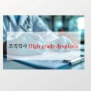 D12 네이버블로그