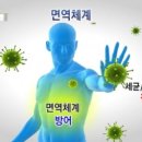 섹칼슘
