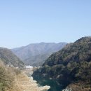 덩쿨여관 이미지