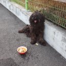 우강초교 이미지