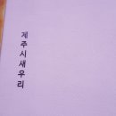 카카오 이미지