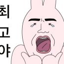 노블레스아로마 이미지