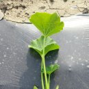 골말농장 이미지