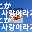 하이롱 Daum카페