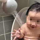 신나고 즐겁게컵난타 | 유키두 물놀이장난감 워터 뿜뿜 코끼리 샤워기로 우리 우리아기 목욕시간 신나고 재밌게 !!