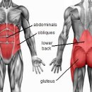 바디포 휘트니스 이미지