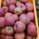 배내골사과정보화마을 이미지