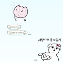 개밥주세요 | 제목을 지어주세요