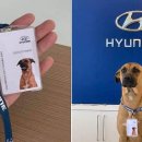 현대자동차 대리점 앞 이미지