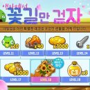 버드아일랜드 이미지
