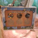 (주)라라 | 부산 명지 라라주 방문기 다양한 동물과 교감한 하루