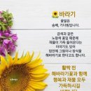 하늘바라기 - 창원시 마산합포구 대평안길 74 | 하늘바라기
