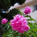 무을초등학교 이미지