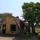 이시돌목장 이미지