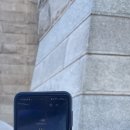 여행 🗽 (NJ Transit, 덤보, 브루클린 브릿지, 돌진하는 황소 상, 트리니티 교회, 9/11 Memorial Pools)