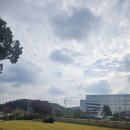 [용인카페] 아스테리카 바이 더 체어 방문 후기: 감각적인 공간에서 여유롭게 즐긴 커피와 디저트