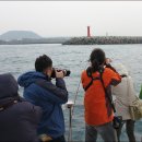 돌고래가 뛰노는 김영앞바다~ 3%의 행운~ 김녕요트 [3박4일제주여행] 이미지