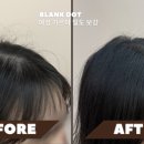 블랭크smp 이미지