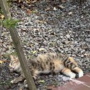 달물인연 이미지