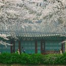 경포물레방아 이미지