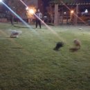 장성근린공원 이미지