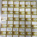 세화+해와달유치원 이미지