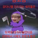 강다니엘은 근황을 기부로 알리는것도 개본새난다고 ㅈㅇ워너원 이미지