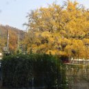 만의골로 이미지