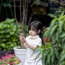 벨라스튜디오 이미지