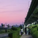 하하호호 어린이도서관 이미지