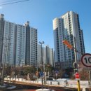 지석초교 앞 교차로 이미지