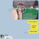 캠핑고래 군산점 이미지