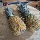 좋은이웃교회 앞 이미지