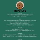 펫라이프 이미지