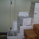 풍년꽃게 이미지