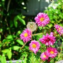 비암농장 이미지