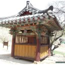 삼랑진로 Daum카페
