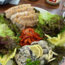 서울 등촌동 증미역 생굴 맛집 “생굴사랑” 굴보쌈, 석화, 굴 칼국수