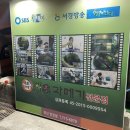 해초과메기양정점 이미지