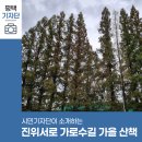 진위서로 이미지