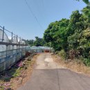 온평리-7 이미지