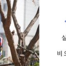 슈즈백