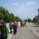 대성초삼거리 이미지