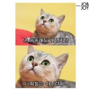 2025년 3월 일상. 리얼 다이어트 중